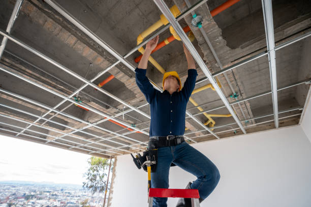 Best Plumbing Inspection Services  in Delevan, NY